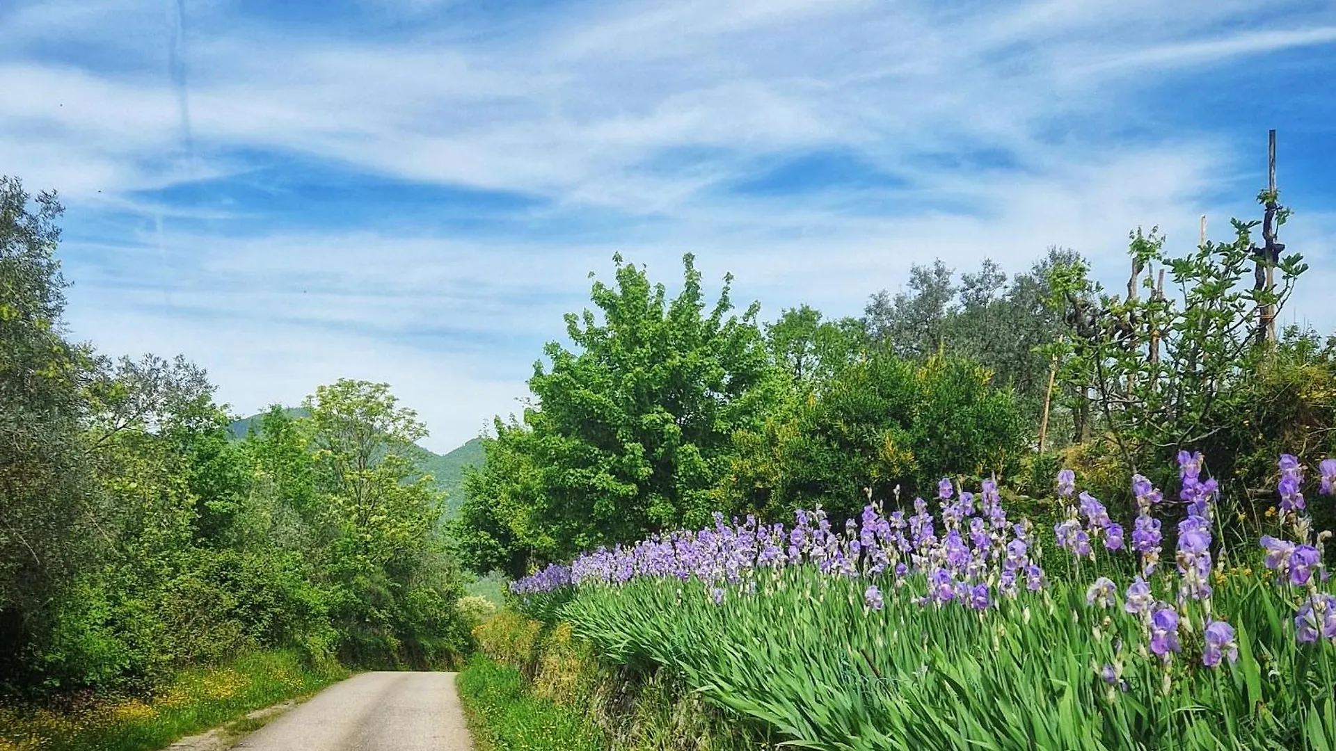 Villa Ginori 1755 Londa Bed & Breakfast